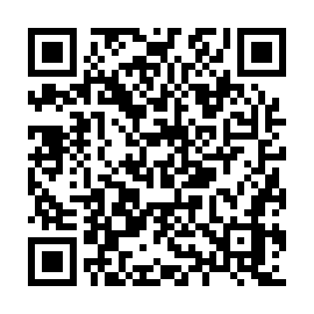 QR code for X9617Z