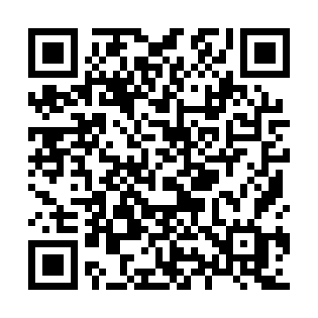 QR code for X991VG