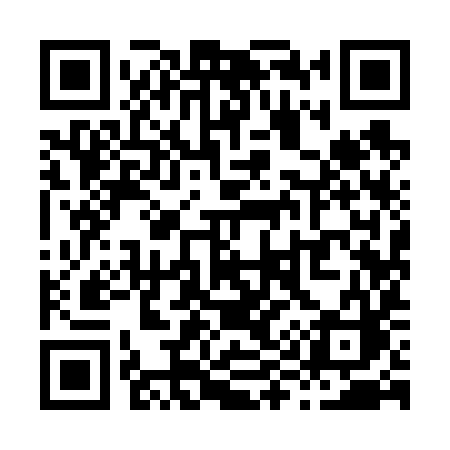 QR code for X9969C