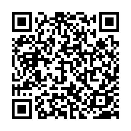 QR code for XAV31P