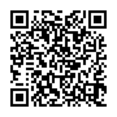 QR code for XLIM13