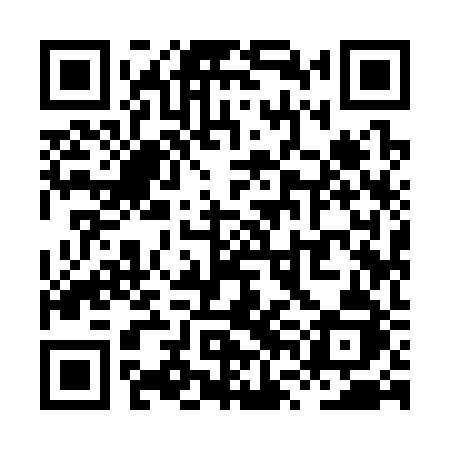 QR code for XVI32J