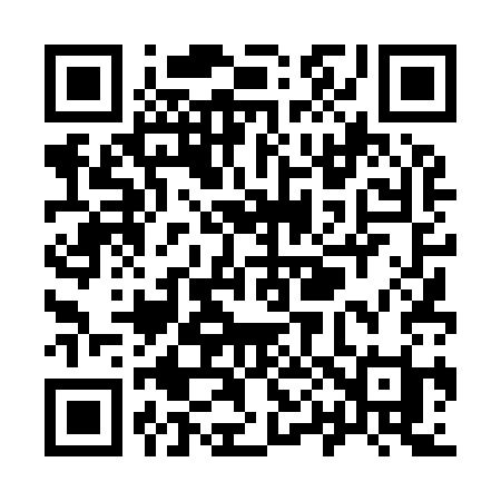 QR code for Y0493I