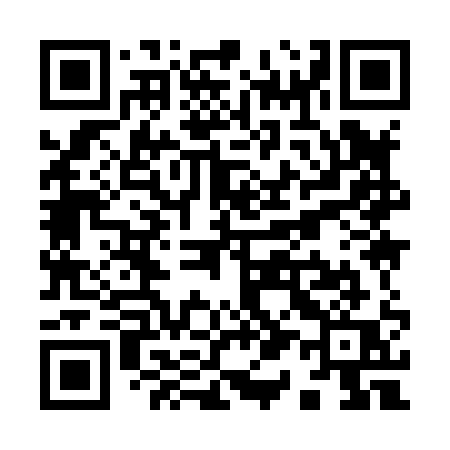 QR code for Y1981Q