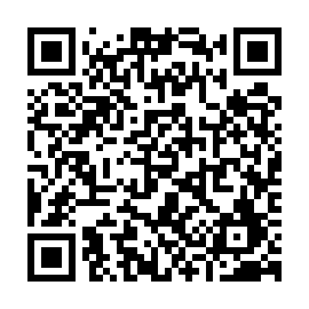 QR code for Y335SF