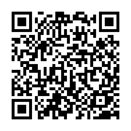 QR code for Y9125U