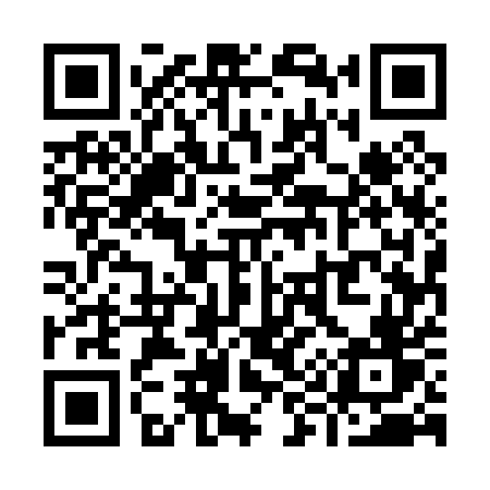 QR code for Y9505V