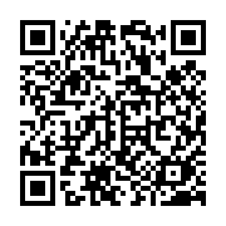 QR code for Y9541M