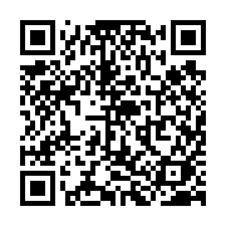QR code for YL161K