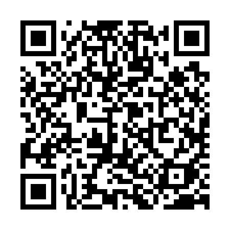 QR code for YL271I