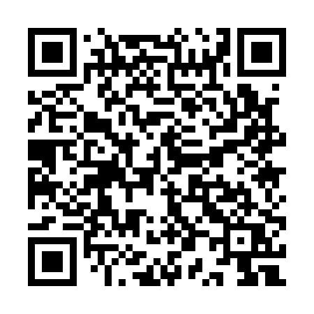 QR code for YP110Q