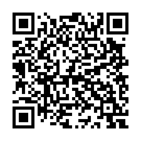 QR code for YS209M