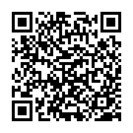QR code for YT335W