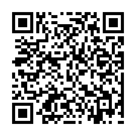 QR code for YV379I