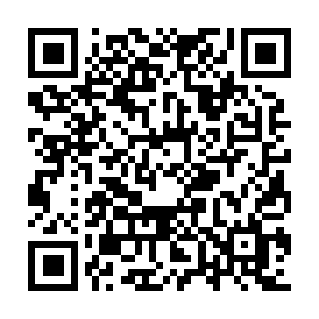 QR code for YV381L