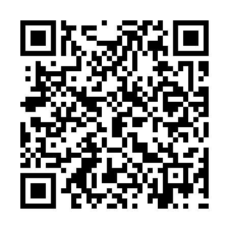 QR code for YV913V