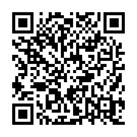 QR code for YVP16H