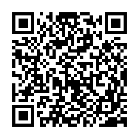QR code for YYIZ56