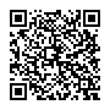 QR code for YYP12X