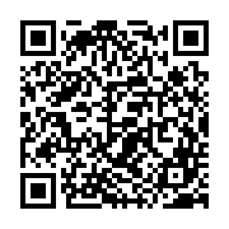 QR code for YYSS46