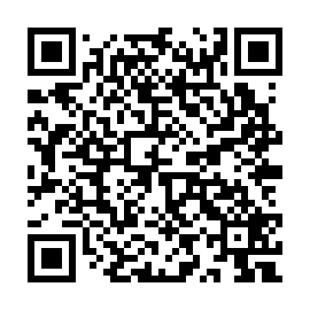 QR code for YYXS29