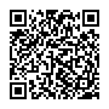 QR code for YZIG53