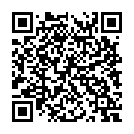 QR code for YZT13G