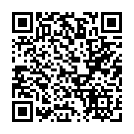 QR code for Z006TG