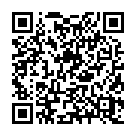 QR code for Z0384X