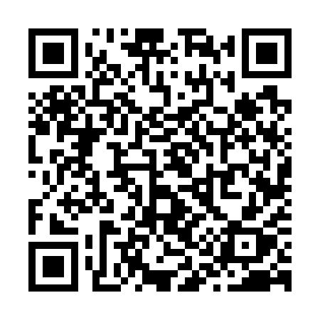 QR code for Z1671X