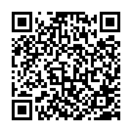 QR code for Z175PV