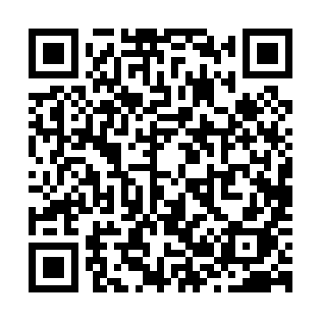QR code for Z2009H