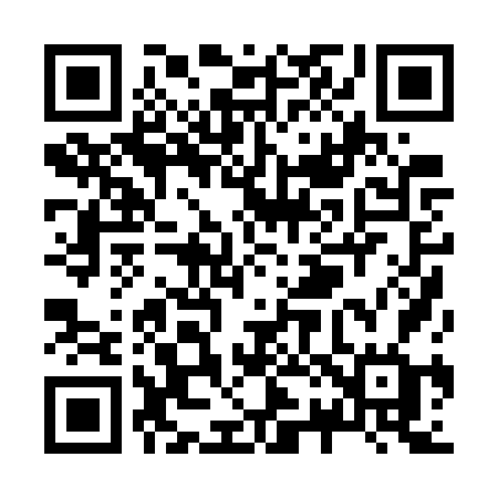 QR code for Z207VG