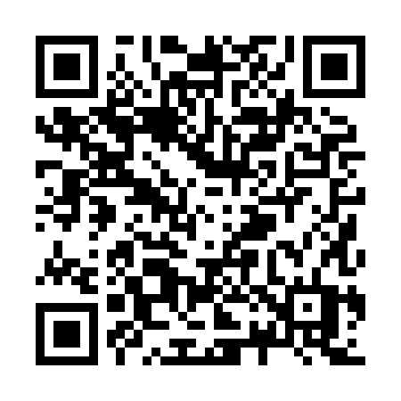 QR code for Z208HT