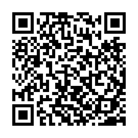 QR code for Z20NII