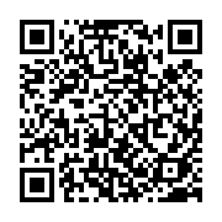 QR code for Z2141H