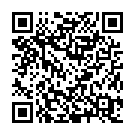 QR code for Z221ZE