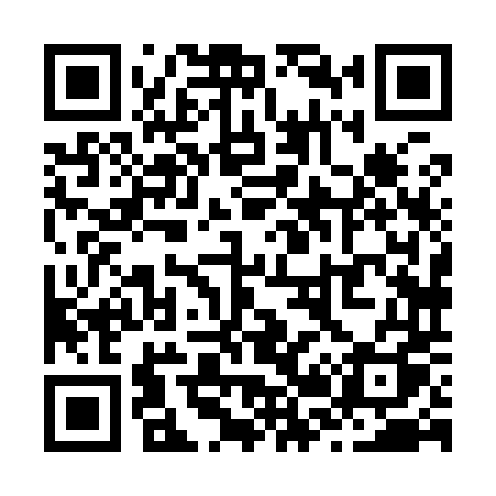 QR code for Z2894Q