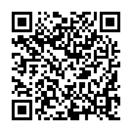 QR code for Z2919N