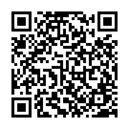 QR code for Z29MOV