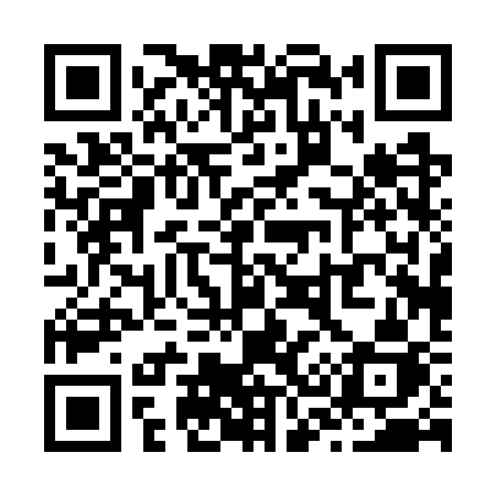 QR code for Z307SJ