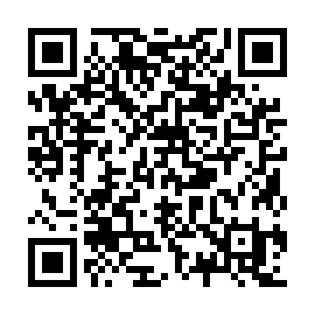 QR code for Z315JI