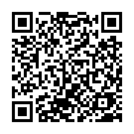 QR code for Z317SE