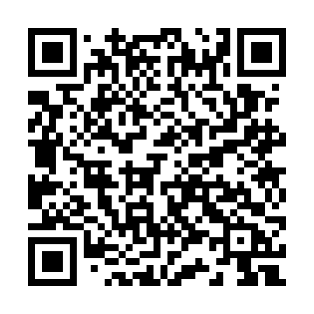 QR code for Z335FB