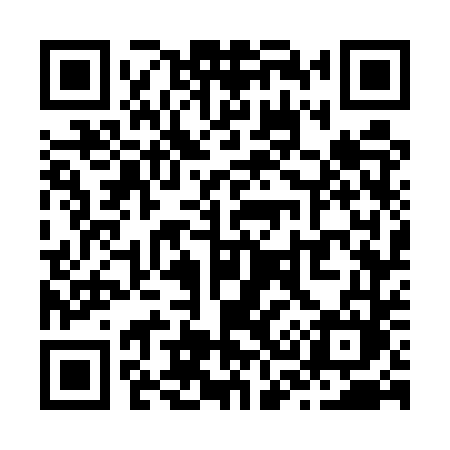 QR code for Z375TM
