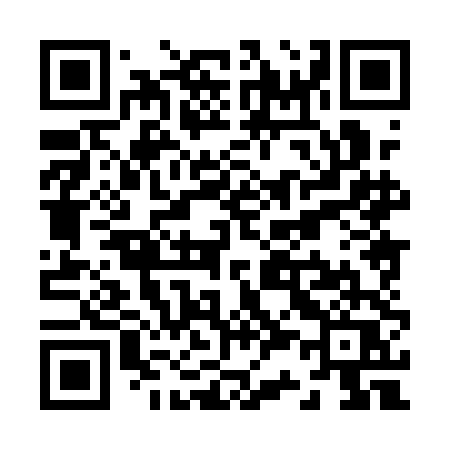 QR code for Z381DQ