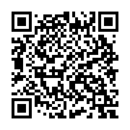 QR code for Z3833M