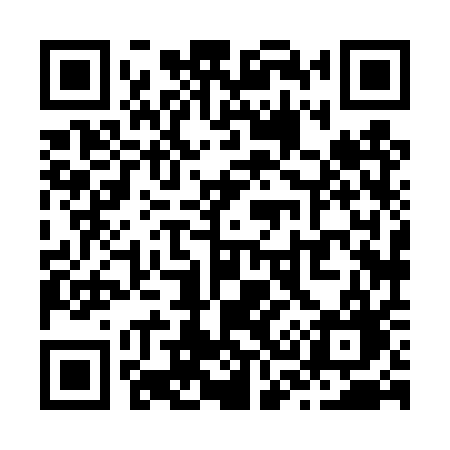 QR code for Z384QG