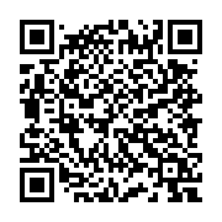 QR code for Z384ZT