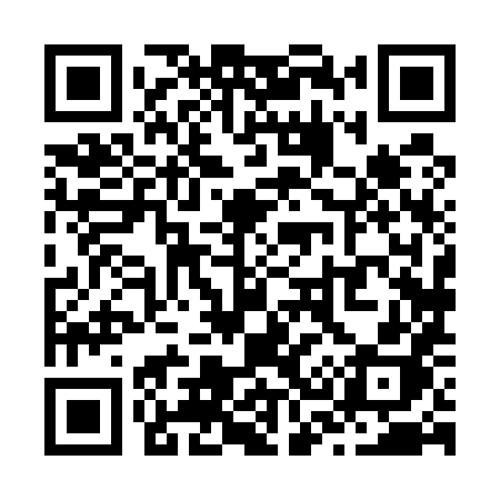 QR code for Z3858H